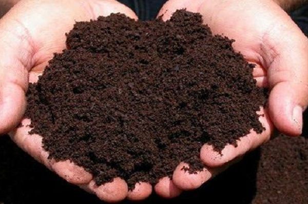 Vermicompost